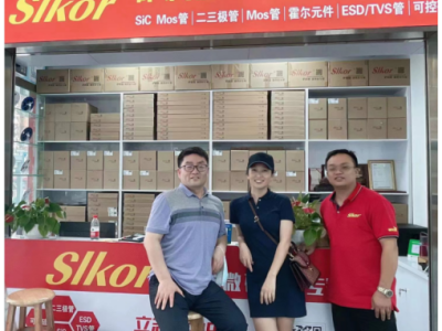 6381162529390226607411255