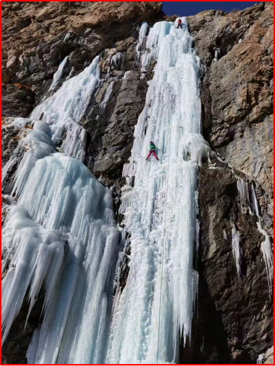 dd137b92-dc3f-433c-919d-9f6387753a9b